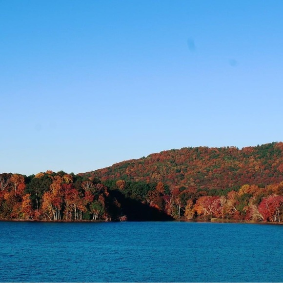 🌟Posh Ambassador🌟Jen - Picture 6 of 6